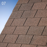 Monarch Dual Brown (07)