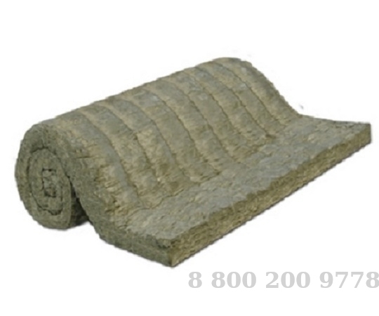   3    1000200050  21880-94
