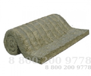   1     1000200060   21880-94